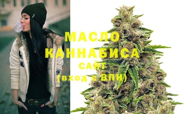 дживик Надым