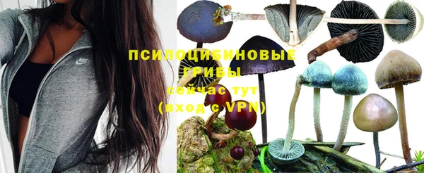 герыч Алексеевка