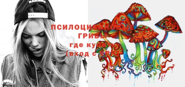 не бодяженный Алексин
