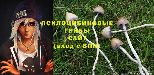 не бодяженный Алексин
