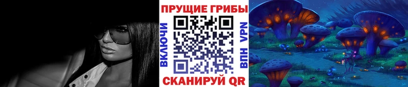 Галлюциногенные грибы GOLDEN TEACHER  Подольск 